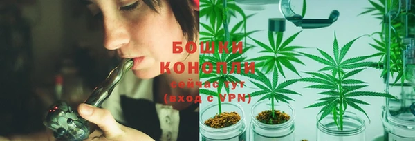 дмт Майский