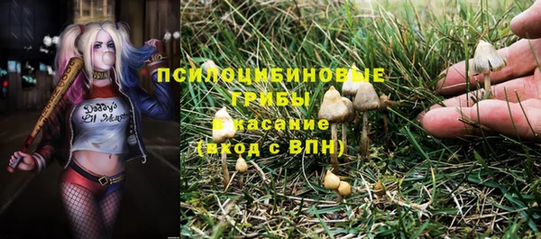 дмт Майский