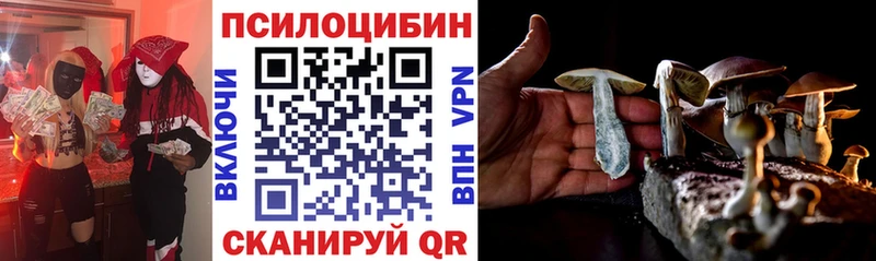 Псилоцибиновые грибы Psilocybe  Усть-Катав 